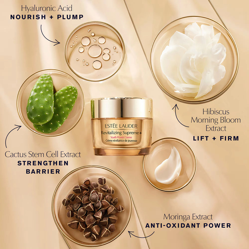 Estée Lauder Revitalizing Supreme+ Moisturizer Youth Power Creme