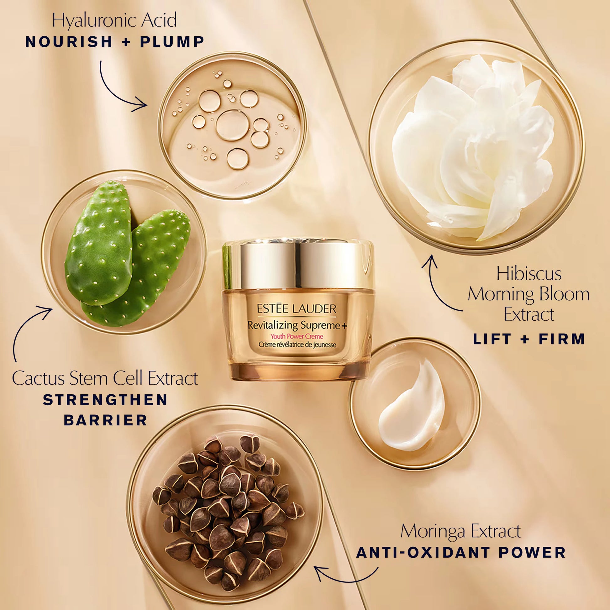 Estée Lauder Revitalizing Supreme+ Moisturizer Youth Power Creme